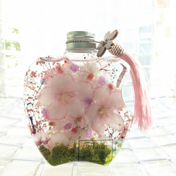 桃と桜のハーバリウム ギフトにも リバーシブル ギフト 入学祝 卒業祝 ホワイトデー 3枚目の画像