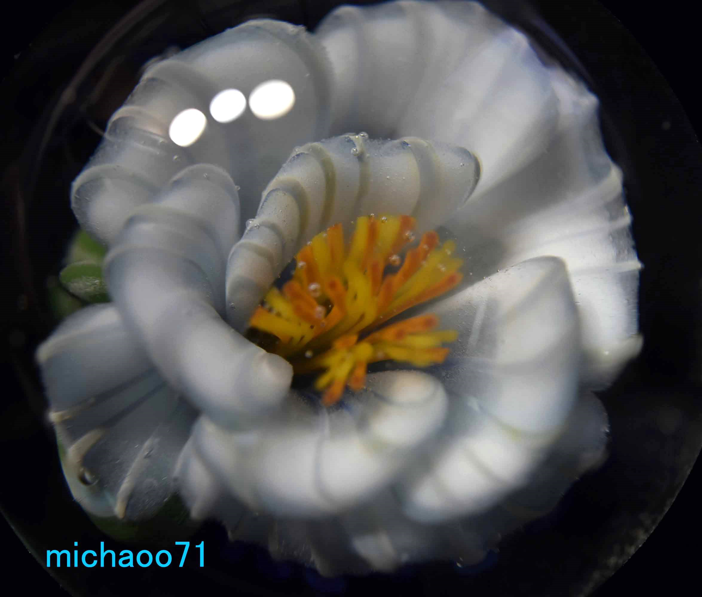 フラワー ガラスのペンダントトップ　(12128-P21) GLASS FLOWER  ＃ガラスアクセサリー