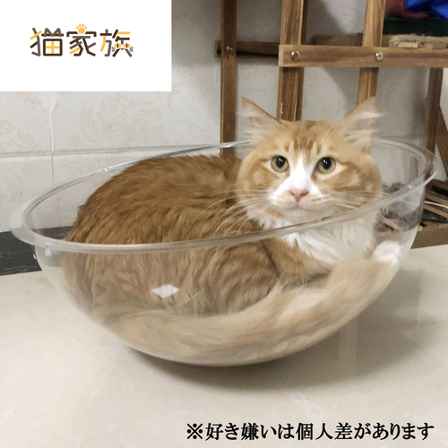 割れにくい 宇宙船カプセル キャットタワー 追加パーツ 突っ張り 透明