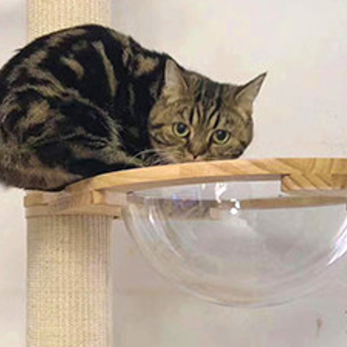 割れにくい 宇宙船カプセル キャットタワー 追加パーツ 突っ張り 透明