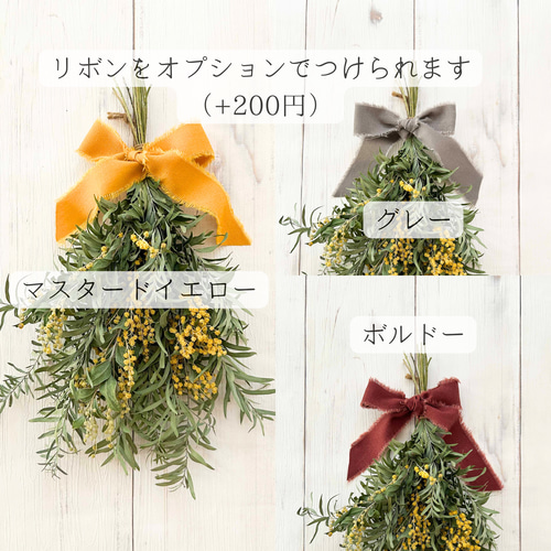 パールアカシア ミモザ スワッグ　アンティーク ミモザ「パールアカシア」 | tokyo_shokubutsu_zufu