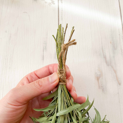 ミモザ（パールアカシア）とアカシアブルーブッシュ おしゃれな