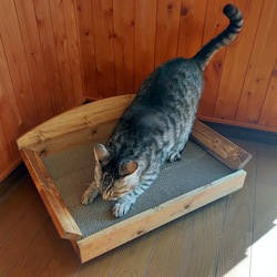 受注生産 職人手作り 木製餌台 ペット餌入れ キャット用トレー 猫家具