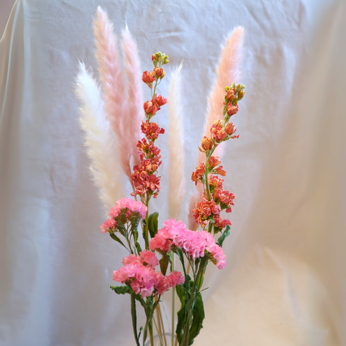 春のお花ストック ドライフラワーセット ドライフラワー MOOI -dried
