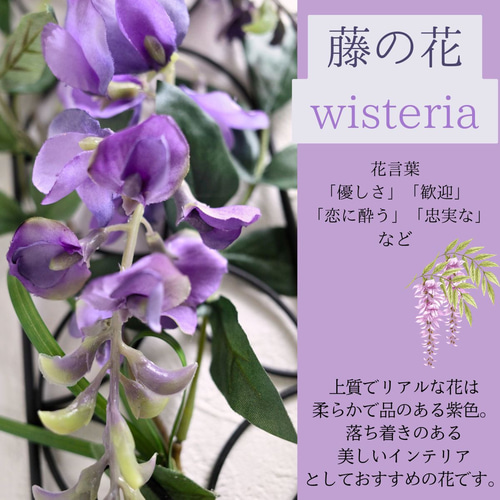 藤の花の壁飾り ふじ インテリア 和モダン 壁掛け 春 藤 フジ 藤の花