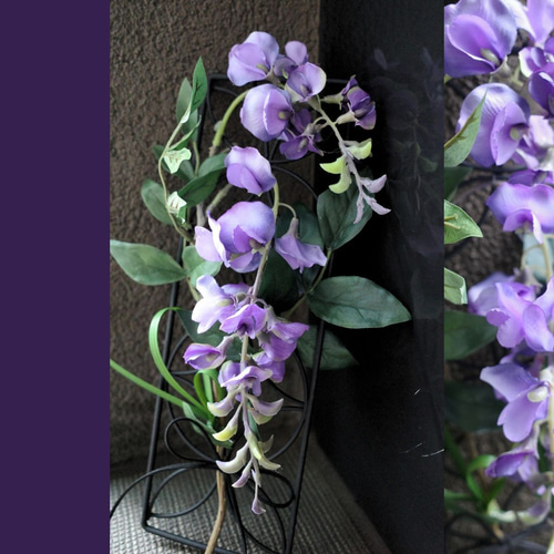 藤の花の壁飾り ふじ インテリア 和モダン 壁掛け 春 藤 フジ 藤の花