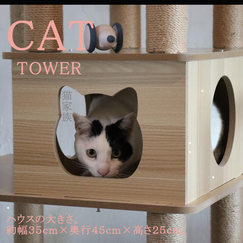 キャットタワー 木製 宇宙船カプセル 大型猫 据え置き型 多頭