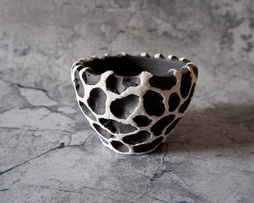 陶房然庵 9号燻し金彩大平鉢 多肉植物 塊根植物 盆栽 植木鉢