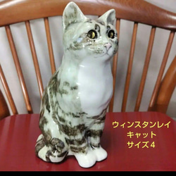 ウィンスタンレイキャット、初期作品、kensington・No.47