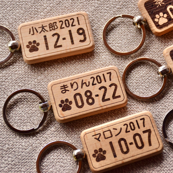 犬・猫 ワンバープレート ニャンバープレート キーホルダー ナンバープレート ネームタグ オリジナル 犬キーホルダー 9枚目の画像