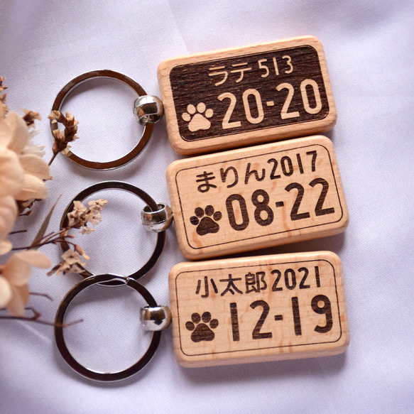 犬・猫 ワンバープレート ニャンバープレート キーホルダー ナンバープレート ネームタグ オリジナル 犬キーホルダー 1枚目の画像
