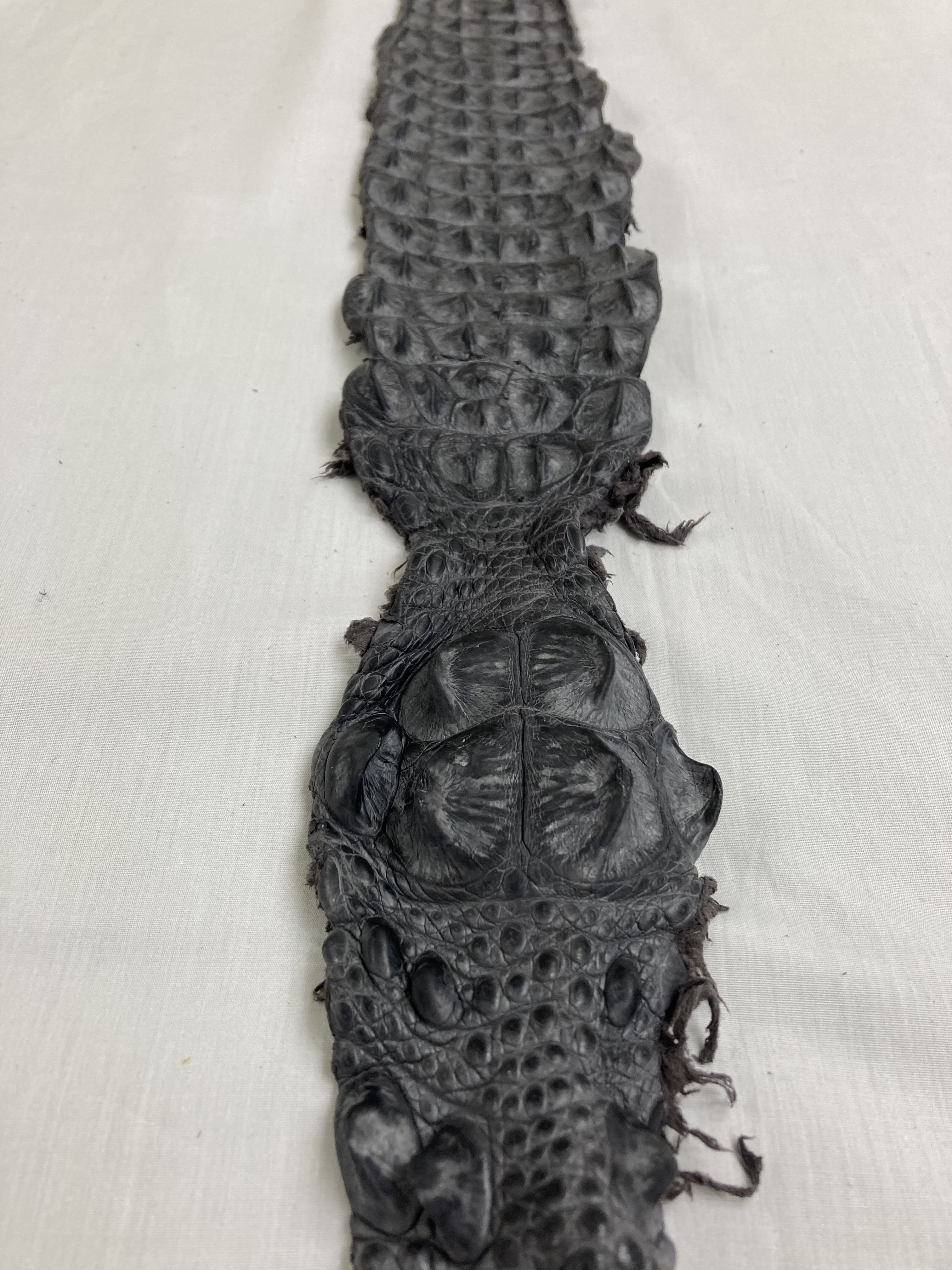 クロコバックストラップ　グレー