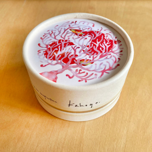 珊瑚と魚のやさしい石鹸 バス・トイレ・洗面用品 yuko ouchi 通販