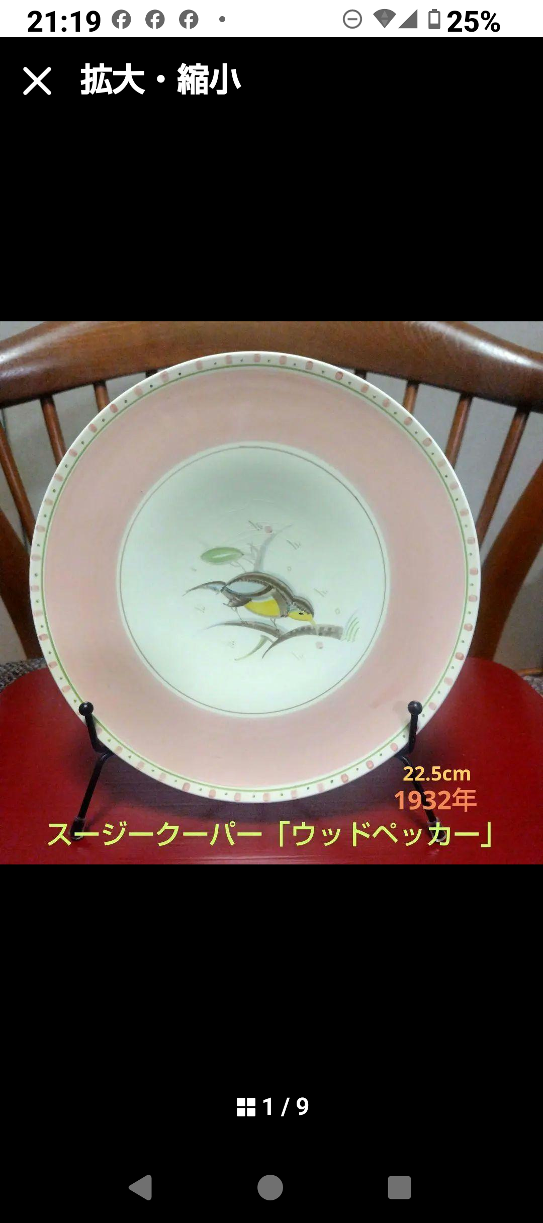 希少！スージークーパーの代表作「ウッドペッカー」22.5cm