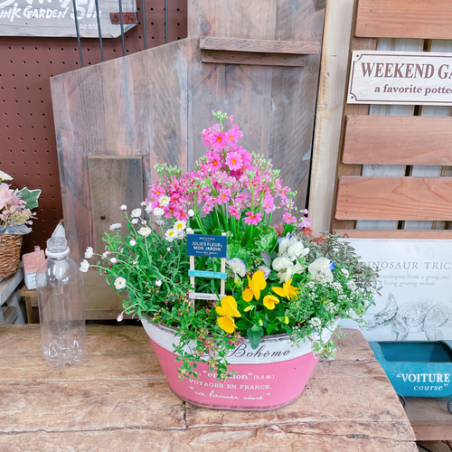 トルソー　インテリア雑貨　ガーデニング雑貨　ギャザリング　寄せ植え トルソー インテリア雑貨 ガーデニング雑貨 ギャザリング 寄せ植え