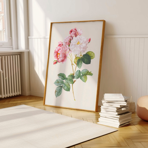 薔薇 ボタニカルアート アンティーク アートポスター ピンク 花