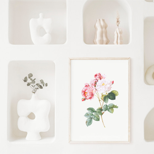 薔薇 ボタニカルアート アンティーク アートポスター ピンク 花