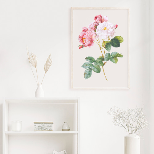 絵画　薔薇　インテリア　イラスト 薔薇 ボタニカルアート アンティーク アートポスター ピンク 花