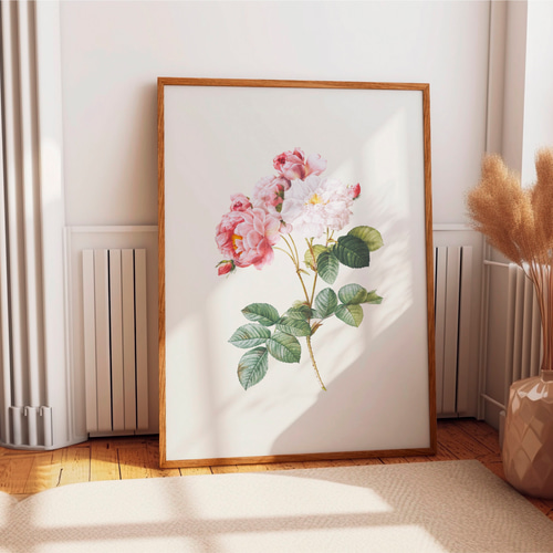 薔薇 ボタニカルアート アンティーク アートポスター ピンク 花