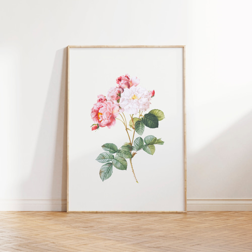 絵画　薔薇　インテリア　イラスト つる薔薇 | 佃 喜翔 ｜インテリア絵画 アートの専門通販 thisisgallery