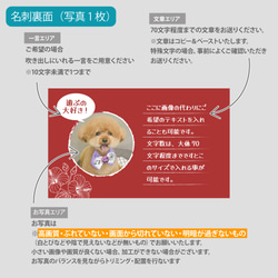 【受注後制作】背景色を選べる ペット名刺 『両面版』 50枚 ハイビスカス 11枚目の画像