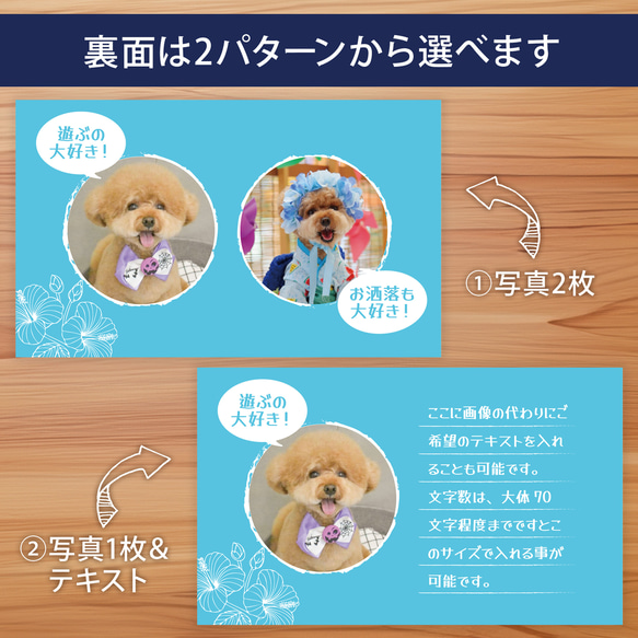 【受注後制作】背景色を選べる ペット名刺 『両面版』 50枚 ハイビスカス 2枚目の画像