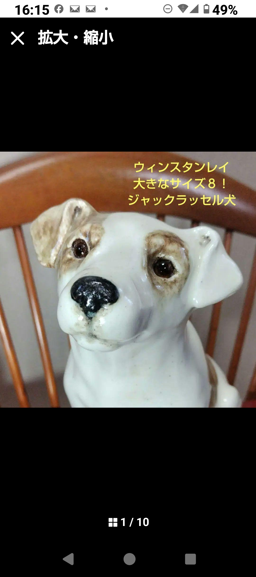 ウィンスタンレイキャット、大きな犬、サイズ８！ジャックラッセル ウィンスタンレイキャット、大きな犬、サイズ8！ジャック