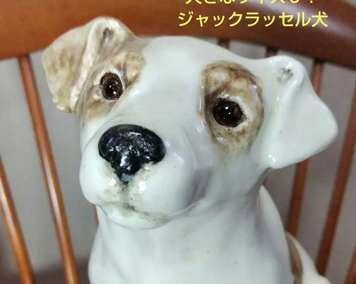 ウィンスタンレイキャット、大きな犬、サイズ8！ジャックラッセル