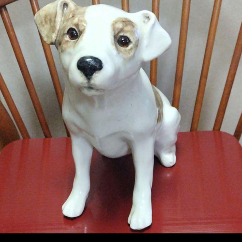 ウィンスタンレイキャット、大きな犬、サイズ8！ジャックラッセル