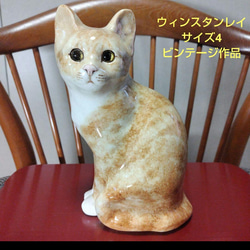 売約済、ウィンスタンレイキャット(ケンジントンキャット)ジンジャー猫サイズ1 SOLD OUT】ウィンスタンレイキャット(ケンジントンキャット