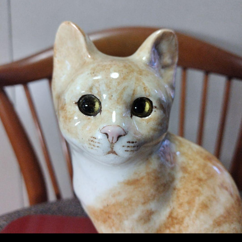 ウィンスタンレイキャット（ケンジントンキャット）サイズ4の