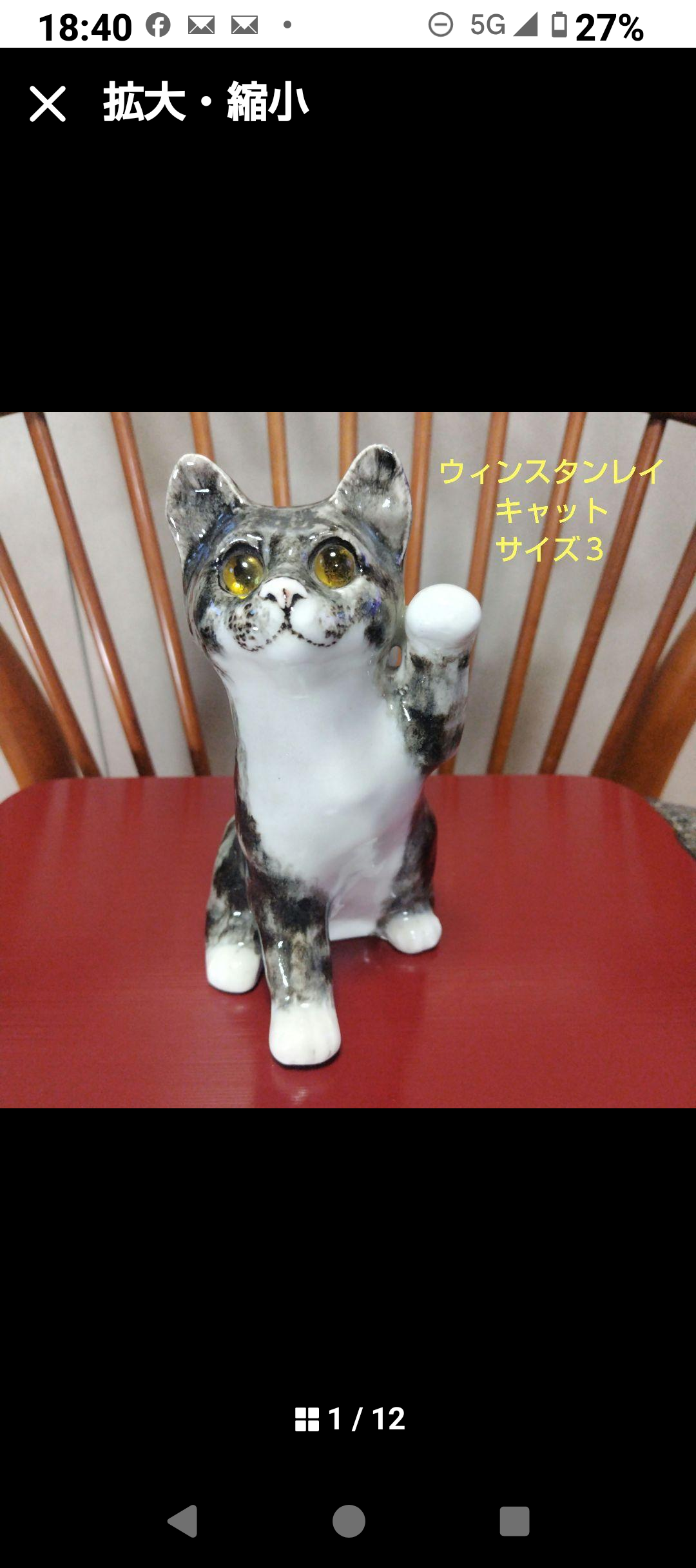 ウィンスタンレイキャット（ケンジントンキャット）片手を上げる可愛い