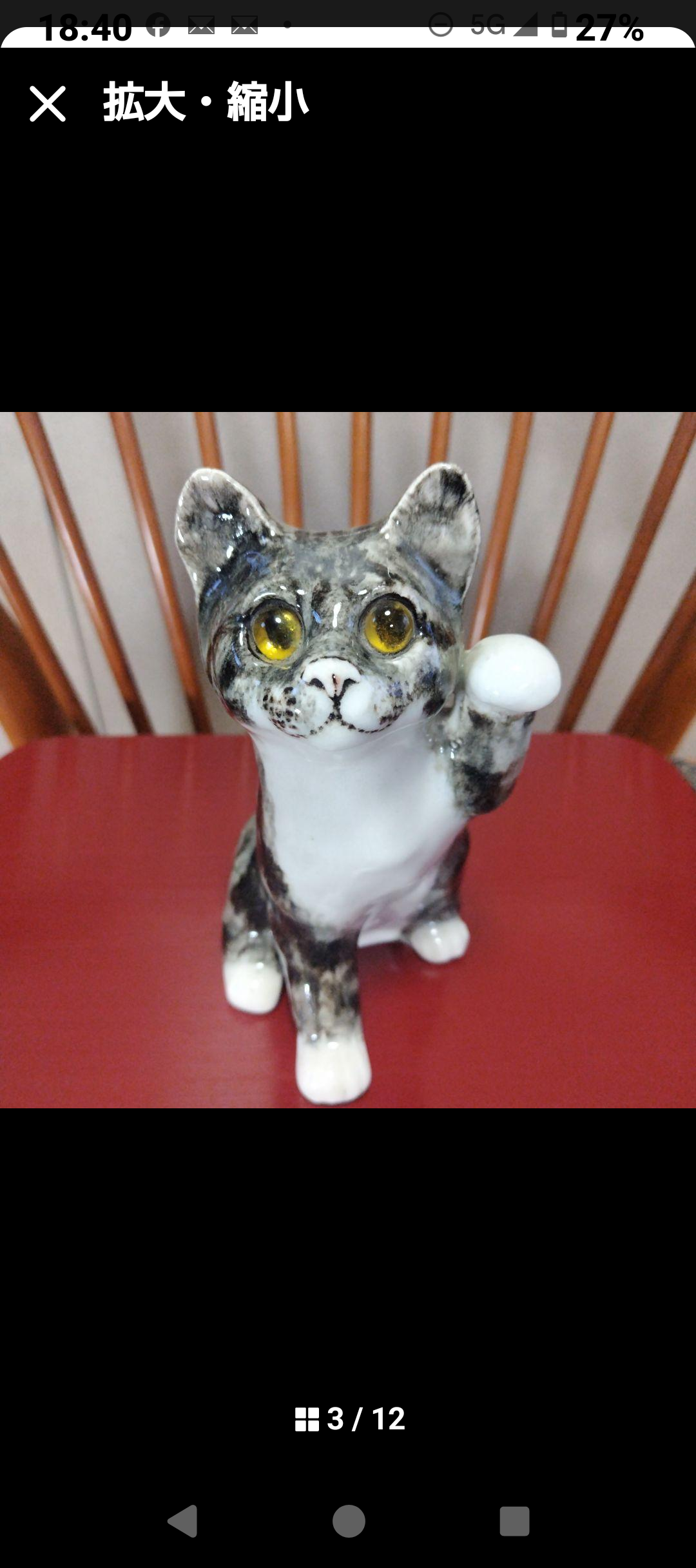 ウィンスタンレイキャット（ケンジントンキャット）片手を上げる可愛い