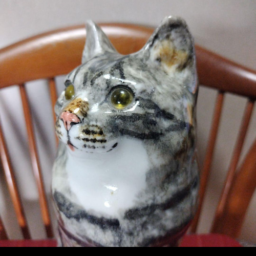 ウィンスタンレイキャット（ケンジントンキャット）サイズ5