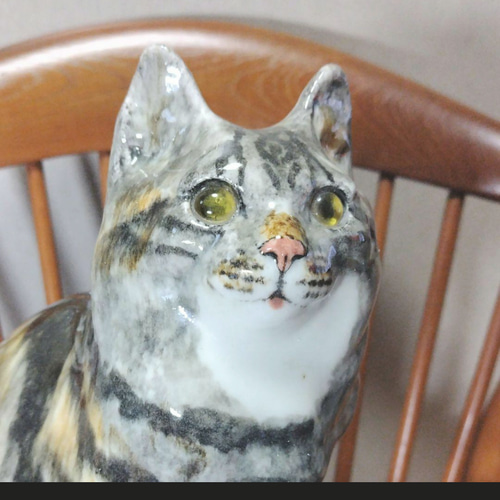 ウィンスタンレイキャット（ケンジントンキャット）サイズ5