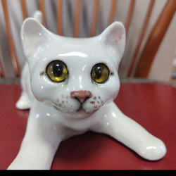 ウィンスタンレイキャット（ケンジントンキャット）サイズ３の白猫 ウィンスタンレイキャット（ケンジントンキャット）サイズ3の白