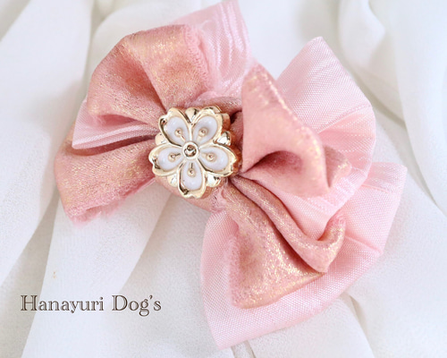 08593a4a623878388b94be153d5600