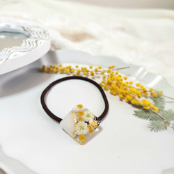 かすみ草 ドライフラワー ピアス イヤリング しずく イエロー 小ぶり