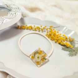 かすみ草 ドライフラワー ピアス イヤリング しずく イエロー 小ぶり