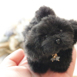 トイプードル マルプー モールドール 犬 モカ ぬいぐるみ ぬい活