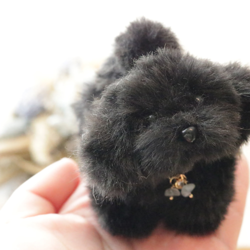 マルプー様おまとめ専用ページ♡ MIX 】天使のルックス×超甘えんぼうのWパンチ！小さめマルプーの