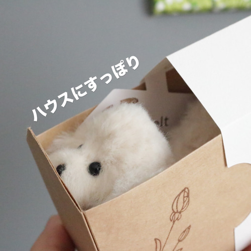 幸せを願う トイプードル クリーム マルプー 犬 ぬいぐるみ ギフト