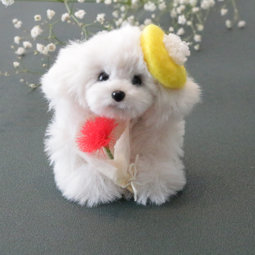 レアパネル生地　トイプードル　強運お守り両面　ハンドメイド 受注製作】トイプードル マルプー ホワイト 白 お守り ぬいぐるみ