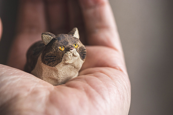 アウトロー【猫_976】 9枚目の画像