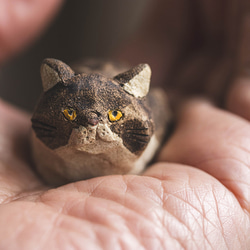 アウトロー【猫_976】 8枚目の画像