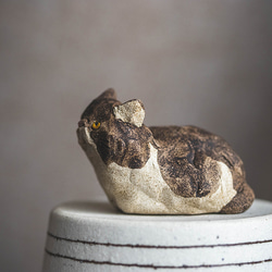 アウトロー【猫_976】 5枚目の画像