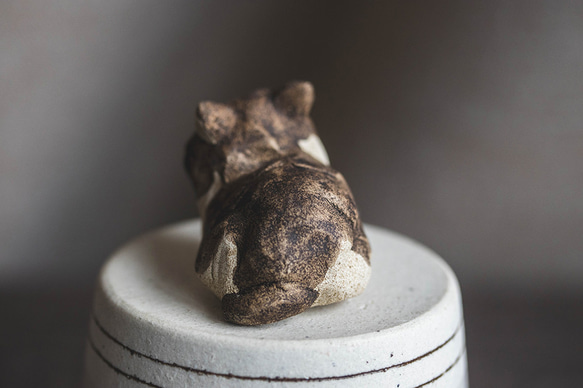 アウトロー【猫_976】 4枚目の画像