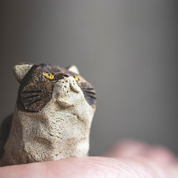 アウトロー【猫_976】 10枚目の画像