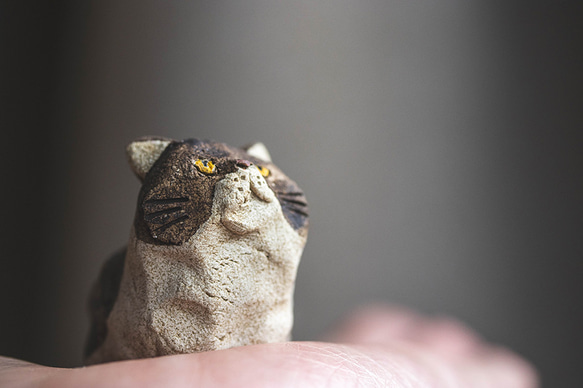 アウトロー【猫_976】 10枚目の画像