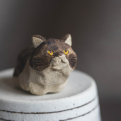 アウトロー【猫_976】 2枚目の画像